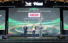 GELEX vào Top 30 Tập đoàn Đầu tư Chiến lược Việt Nam năm 2025
