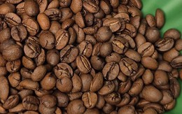 Giá cà phê hôm nay 31-10: Tăng tiếp và cách giữ vị thế số 1 cho cà phê