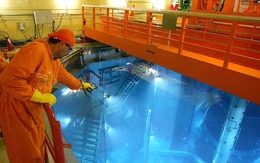 Công nhân rơi xuống khoang nước trong lò hạt nhân, uống phải thứ nguy hiểm: Kết quả đo đáng sợ