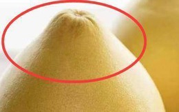 Mùa này có loại quả tốt hơn thịt: Chợ Việt bán sẵn, không mua phí của trời