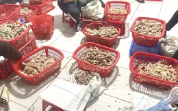 Thu giữ trên 3,5 tấn chân gà ‘bẩn’ ở khu vực biên giới