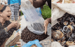 Nông sản độc lạ ở chợ phiên vùng cao: Không chỉ có măng khô, cua đá, đuông cọ... mà còn có cả "vàng đen" Tây Bắc