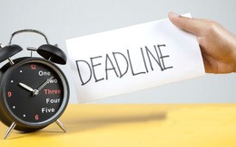 Cập nhật BCTC quý 3/2025 tối ngày 31/10: Thêm BIDV, Petrolimex, Gemadept, Vinpearl... công bố