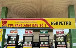 Bắt Phó Tổng Giám đốc Công ty Dầu khí Nam Sông Hậu