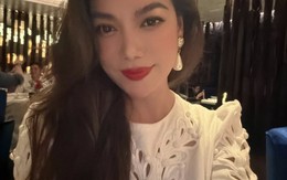 Diễn viên Trương Ngọc Ánh vừa bị bắt là ai?