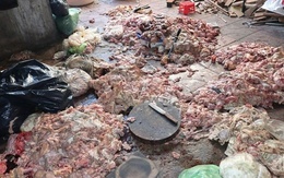 Hãi hùng cảnh mỡ động vật bẩn chất đống dưới nền nhà nhếch nhác, chuẩn bị chế biến tuồn ra thị trường ở Nghệ An