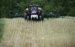 Mỹ sắp công bố gói hỗ trợ lớn cho nông dân chịu tác động từ chiến tranh thương mại