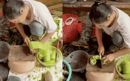 Chị bán rau trên TikTok đưa thái bí lên tầm nghệ thuật, “pháp sư Trung Hoa” cũng phải gọi bằng điện thoại