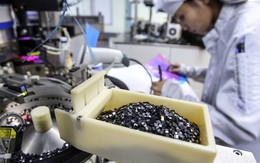 Việt Nam có "kho báu" làm nên chuyện trong lĩnh vực 1.000 tỷ USD, Nhật Bản rất muốn hợp tác