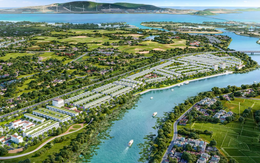 Doanh thu tăng đột biến 19.041%, doanh nghiệp này làm gì mà "tiền vào như nước"?