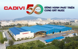 CADIVI – 50 năm đồng hành phát triển cùng đất nước