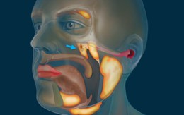 Phát hiện cơ quan mới “ẩn mình” suốt hàng thế kỷ trong thân người, giới khoa học sững sờ vì lý do khó tin