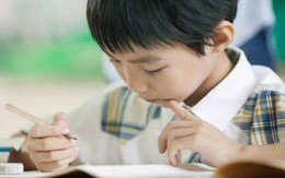 4 kiểu trẻ tuyệt đối đừng đánh mắng: Tưởng gây rối nhưng lại là tín hiệu IQ cao, khéo nuôi dạy sẽ thành thiên tài