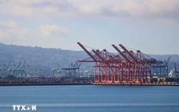 Mỹ ban hành cảnh báo nhập khẩu mới đối với Indonesia