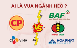 Đại chiến ngành heo tỷ đô: CP, CJ đối đầu với tham vọng lớn chưa từng có của Hòa Phát, Dabaco, BAF