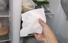 Đặt một tờ giấy trong tủ lạnh, mỗi năm có thể tiết kiệm cả triệu đồng!