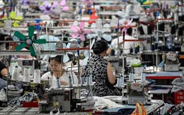 Bị Mỹ chặn cửa, nền kinh tế chủ chốt BRICS xuất hàng ồ ạt sang châu Âu, đe dọa ngành công nghiệp 200 tỷ USD với hơn 1 triệu lao động của 'lục địa già'