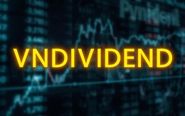 Lần đầu tiên chứng khoán Việt Nam có bộ chỉ số gồm các cổ phiếu tăng trưởng chi trả cổ tức VNDIVIDEND