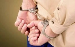 Bắt nguyên giám đốc một công ty bảo hiểm ở Gia Lai