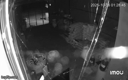 25 trận động đất xảy ra tại 1 địa phương ở Việt Nam trong vòng 20 tiếng