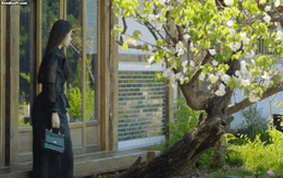 Nếu sắc đẹp là tiền tệ thì mỹ nhân này giàu nhất thế giới: Visual tuyệt tác của thế kỷ, ông trời ngắm cũng phải ngẩn ngơ