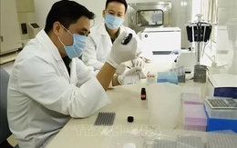 Chế độ phụ cấp đặc thù với công chức, viên chức, lực lượng vũ trang ngành y tế