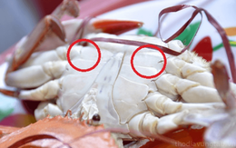 Mua cua đừng vội chọn con to, chủ cửa hàng tiết lộ: Nhìn vào chi tiết trên mình cua chọn mới chuẩn