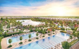 Công ty bất động sản nắm giữ số cổ phiếu Vingroup trị giá 44.000 tỷ đồng bất ngờ có diễn biến mới