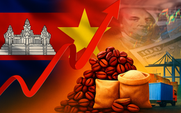 Học tập thành công 4 tỷ USD của Việt Nam, Campuchia đặt cược vào 'hạt ngọc nâu' trong cuộc đua toàn cầu