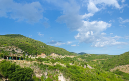 Việt Nam có rừng thuộc dạng quý hiếm ở Đông Nam Á, cả nước chỉ có 1, ngay gần Nha Trang, Phan Thiết