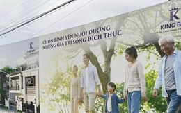 'Đường đi' của dự án King Bay khiến nhiều lãnh đạo vướng lao lý