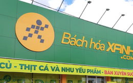 Bách Hóa Xanh của đại gia Nguyễn Đức Tài "rục rịch" tuyển quân tại Ninh Bình, chuẩn bị kế hoạch Bắc tiến