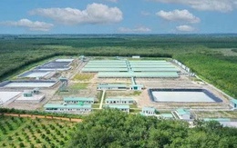 Baf Việt Nam lên kế hoạch phát hành 1.000 tỷ đồng trái phiếu