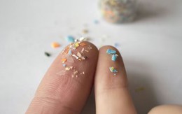 Phát hiện thêm 1 tác hại đáng ngại của vi nhựa: 5 cách để giảm nguy cơ ngay bây giờ