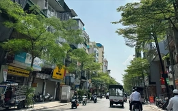 Thời  tiết miền  Bắc những  ngày tới