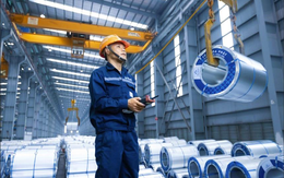 Thép cuộn cán nóng Hòa Phát quý 3/2025 tăng 71% so với cùng kỳ