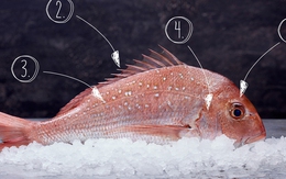 Bất cứ ai cũng có thể phân biệt cá tươi với cá ươn sau khi đọc hướng dẫn 4 bước này