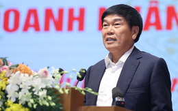 Tỷ phú Trần Đình Long tự hào: Từng xếp thứ 6 tại Đông Nam Á, nay Việt Nam dẫn đầu, vào top 11 thế giới trong một ngành then chốt