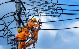 EVN là doanh nghiệp duy nhất tại Đông Nam Á làm được điều này