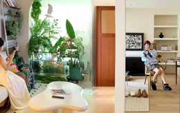 Bày đúng vài món này trong nhà: Vượng khí kéo tới, tiền tự chảy vào túi