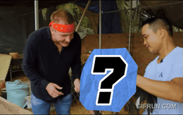 Báo Nga: "Loài chim thần thoại" của Việt Nam có giá đắt hơn 1 chiếc iPhone