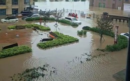 Tôi mất gần 40 triệu chỉ sau một trận mưa: Bài học đắt giá khi mua căn hộ tầng một vì tưởng "rẻ mà hời"