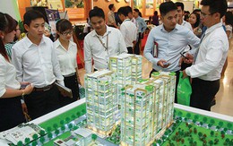 Hé lộ “ông lớn” bất động sản trả lương cho nhân viên gần 40 triệu đồng/tháng