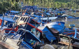 Thủ phủ tôm hùm "bay" hơn 20 tỉ đồng chỉ 1 đêm bão số 13