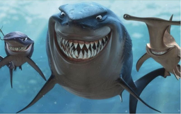 SGI Capital: Margin cao, áp lực tỷ giá và nền định giá không rẻ là những rủi ro tiềm ẩn