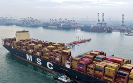 Mỹ - Trung tạm dừng thu phí cảng theo thỏa thuận