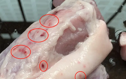 4 loại thịt đáng lẽ phải BỊ CẤM từ lâu, vậy mà nhiều người vẫn ăn