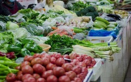 4 loại rau củ không thuốc trừ sâu, bạn đi chợ cứ yên tâm MUA