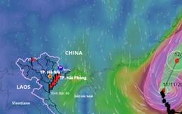 Lý giải đường đi bất thường của bão số 14 Phượng Hoàng