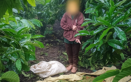 Bắt Phạm Thị Thanh Lương